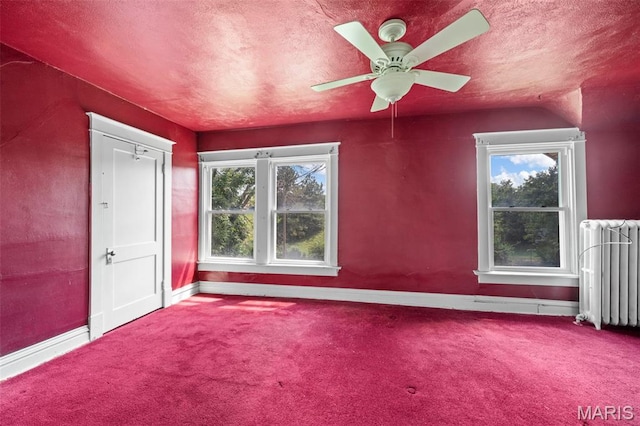 4315 Lafayette Ave, Saint Louis, MO 63110 - photo 15