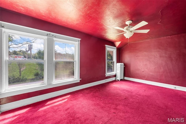 4315 Lafayette Ave, Saint Louis, MO 63110 - photo 16