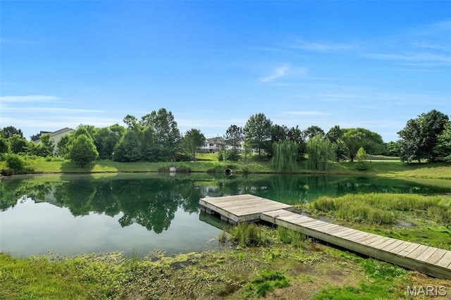 1011 Saravalle Dr, Saint Peters, MO 63376 - photo 20