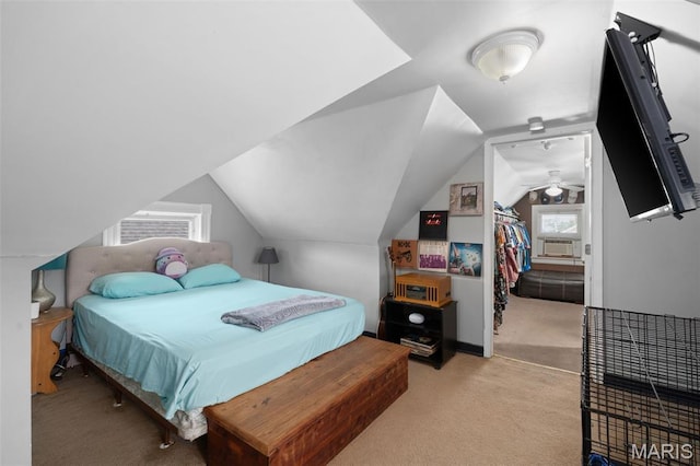 4633 Adkins Ave, Saint Louis, MO 63116 - photo 19