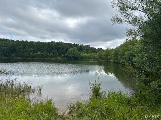 1104 Hidden Valley Lks, Annapolis, MO 63620 - photo 2