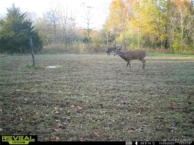 2 Whitetail Ridge Rd, Eolia, MO 63344 - photo 3