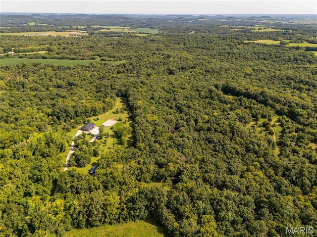 2 Whitetail Ridge Rd, Eolia, MO 63344 - photo 5