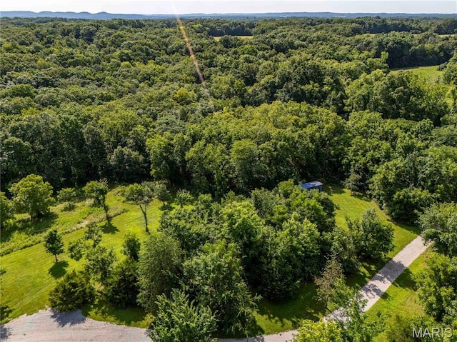 2 Whitetail Ridge Rd, Eolia, MO 63344 - photo 31