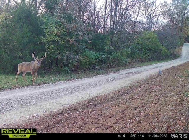 2 Whitetail Ridge Rd, Eolia, MO 63344 - photo 35