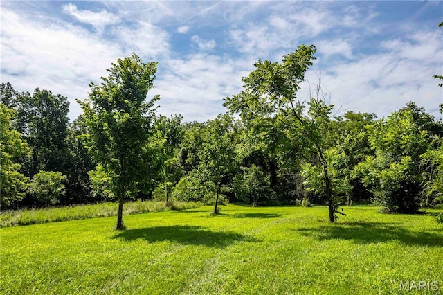 2 Whitetail Ridge Rd, Eolia, MO 63344 - photo 37