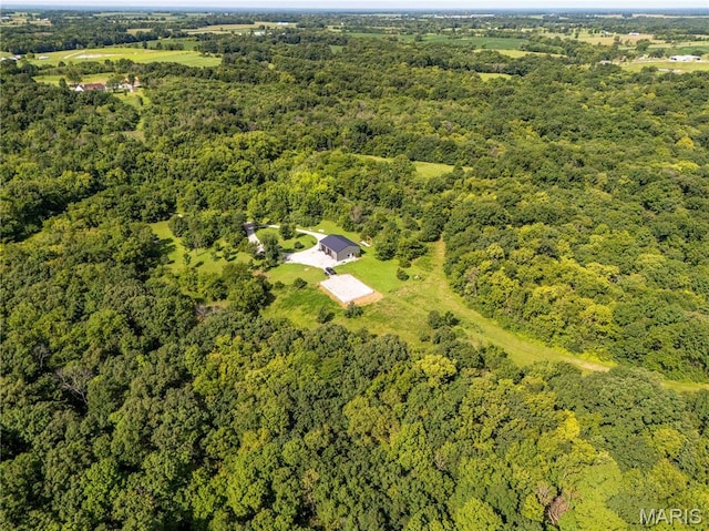 2 Whitetail Ridge Rd, Eolia, MO 63344 - photo 38