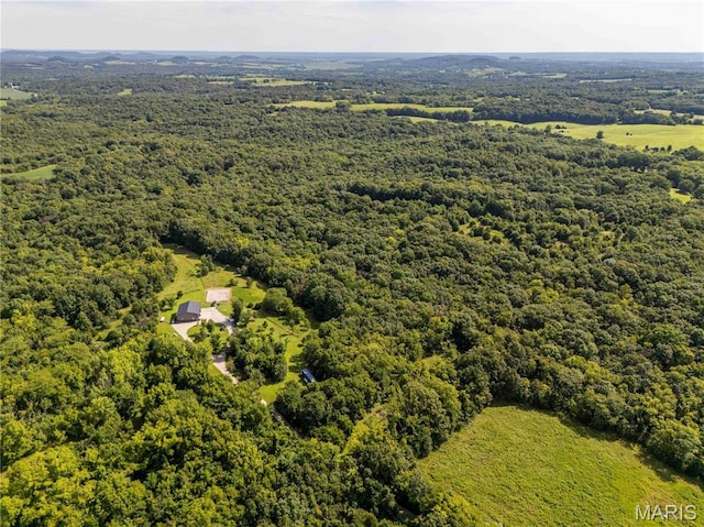 2 Whitetail Ridge Rd, Eolia, MO 63344 - photo 39