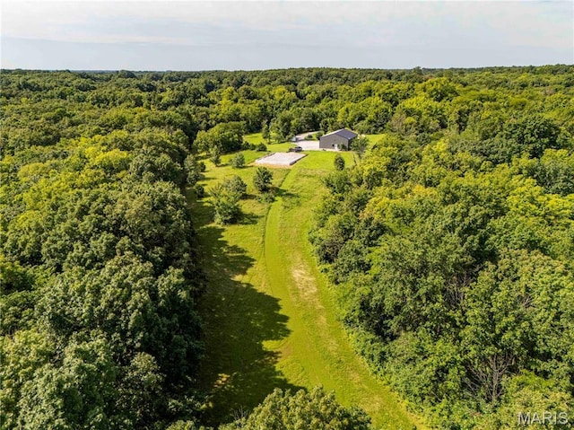 2 Whitetail Ridge Rd, Eolia, MO 63344 - photo 40