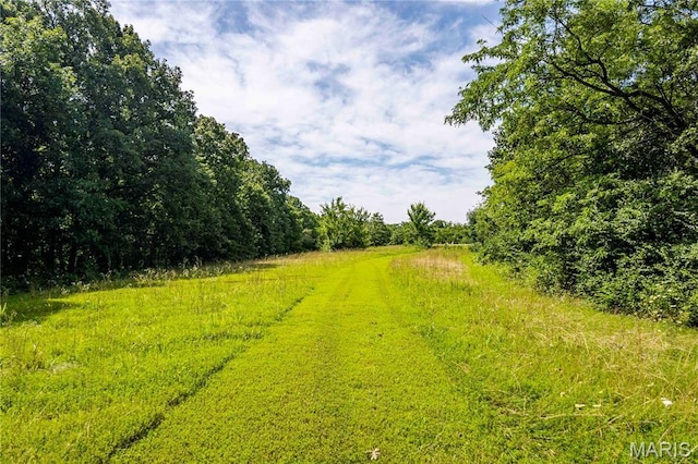 2 Whitetail Ridge Rd, Eolia, MO 63344 - photo 41