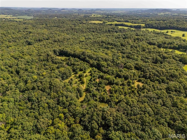 2 Whitetail Ridge Rd, Eolia, MO 63344 - photo 43
