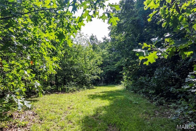 2 Whitetail Ridge Rd, Eolia, MO 63344 - photo 44