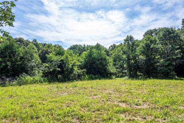 2 Whitetail Ridge Rd, Eolia, MO 63344 - photo 45
