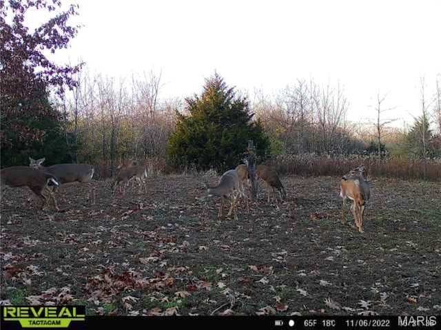 2 Whitetail Ridge Rd, Eolia, MO 63344 - photo 47