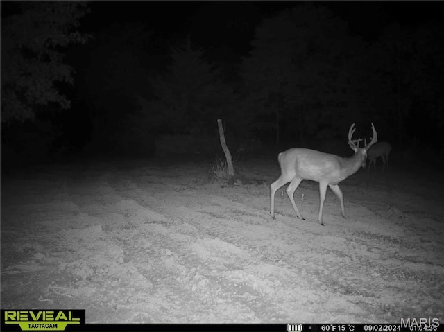 2 Whitetail Ridge Rd, Eolia, MO 63344 - photo 48