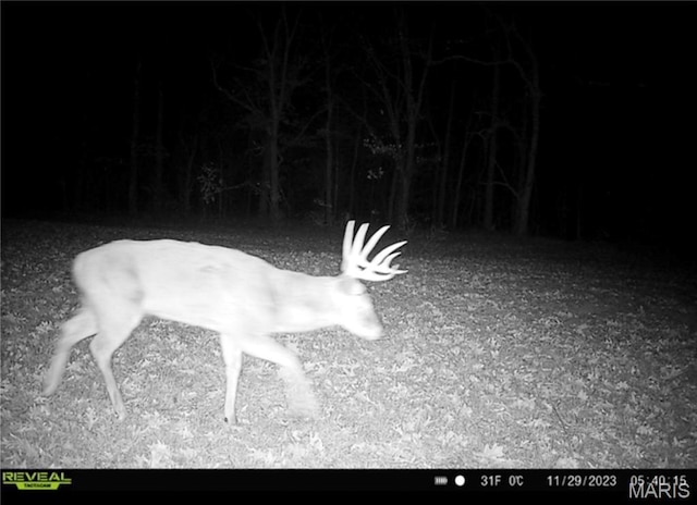 2 Whitetail Ridge Rd, Eolia, MO 63344 - photo 49
