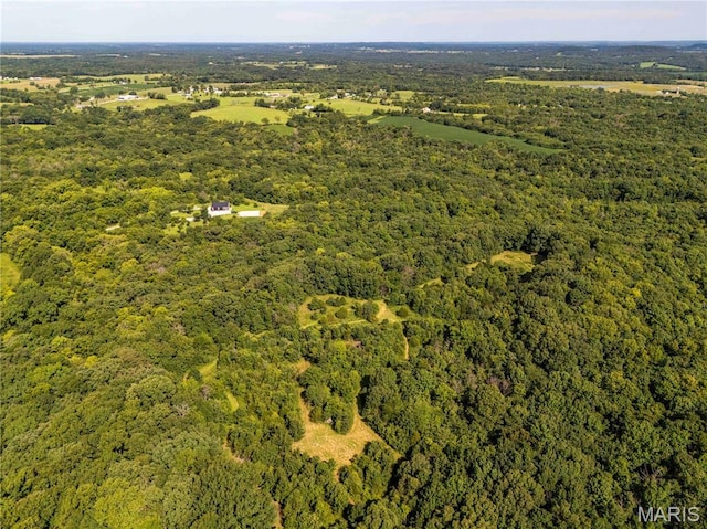 2 Whitetail Ridge Rd, Eolia, MO 63344 - photo 50