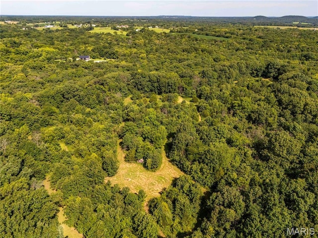2 Whitetail Ridge Rd, Eolia, MO 63344 - photo 51