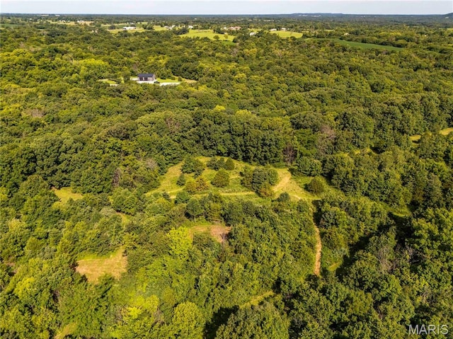 2 Whitetail Ridge Rd, Eolia, MO 63344 - photo 52