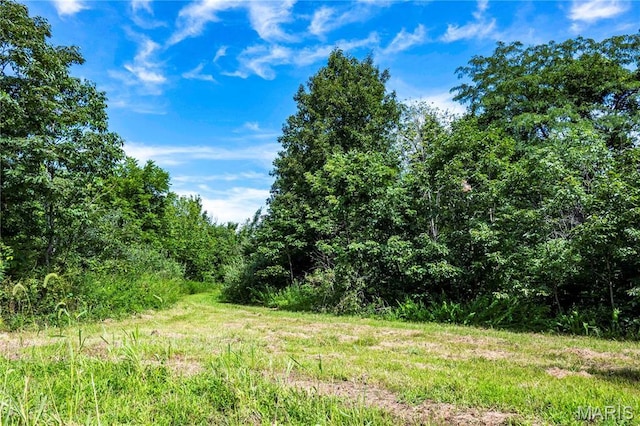 2 Whitetail Ridge Rd, Eolia, MO 63344 - photo 54