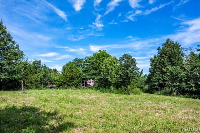 2 Whitetail Ridge Rd, Eolia, MO 63344 - photo 55
