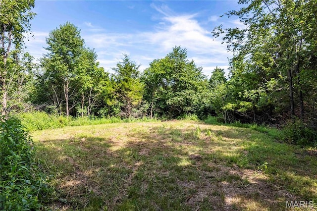 2 Whitetail Ridge Rd, Eolia, MO 63344 - photo 56