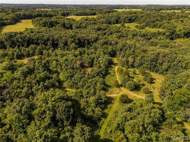 2 Whitetail Ridge Rd, Eolia, MO 63344 - photo 58