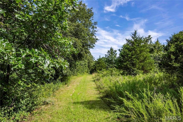 2 Whitetail Ridge Rd, Eolia, MO 63344 - photo 60