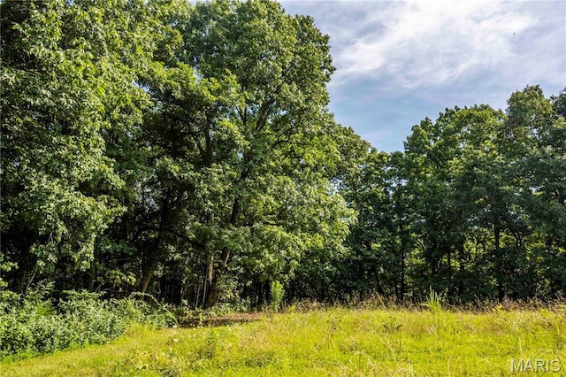 2 Whitetail Ridge Rd, Eolia, MO 63344 - photo 61