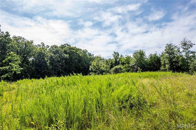 2 Whitetail Ridge Rd, Eolia, MO 63344 - photo 62