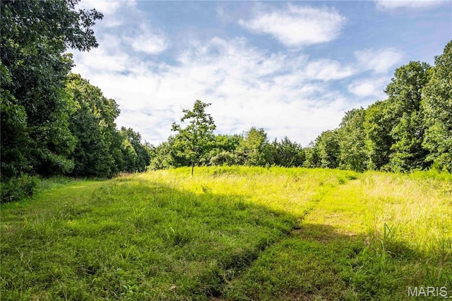 2 Whitetail Ridge Rd, Eolia, MO 63344 - photo 63