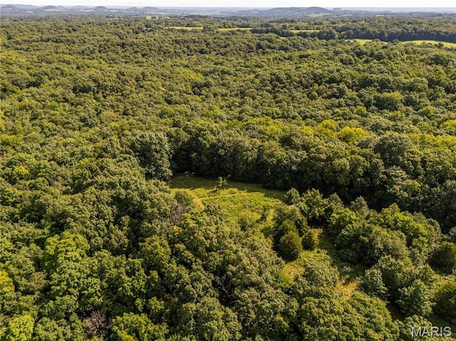 2 Whitetail Ridge Rd, Eolia, MO 63344 - photo 64