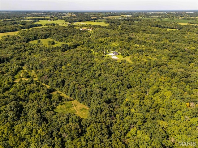 2 Whitetail Ridge Rd, Eolia, MO 63344 - photo 65