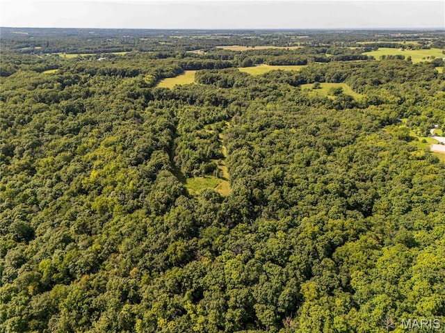 2 Whitetail Ridge Rd, Eolia, MO 63344 - photo 66