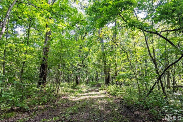 2 Whitetail Ridge Rd, Eolia, MO 63344 - photo 67