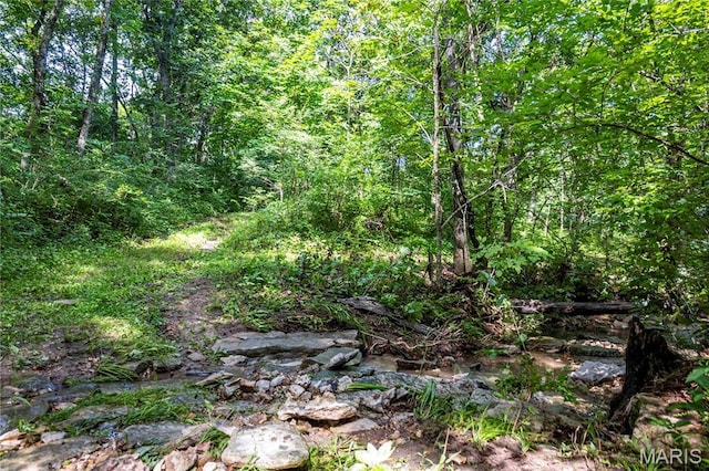 2 Whitetail Ridge Rd, Eolia, MO 63344 - photo 69