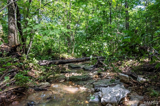 2 Whitetail Ridge Rd, Eolia, MO 63344 - photo 70