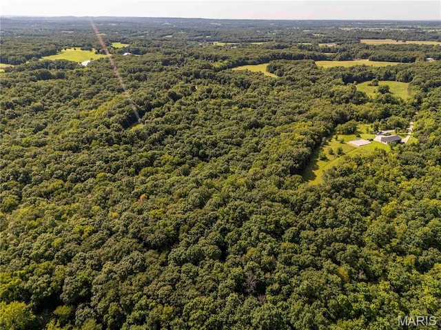 2 Whitetail Ridge Rd, Eolia, MO 63344 - photo 71