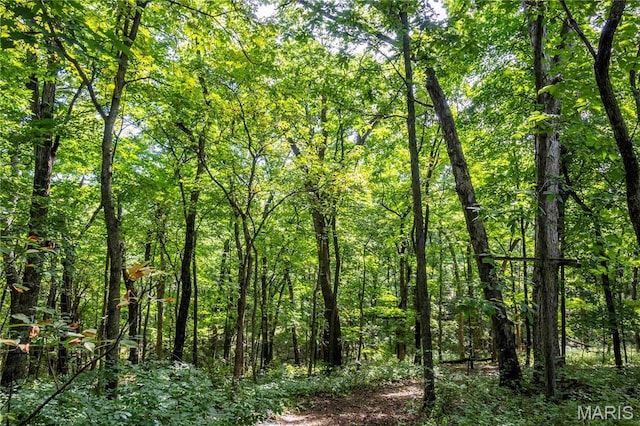 2 Whitetail Ridge Rd, Eolia, MO 63344 - photo 72