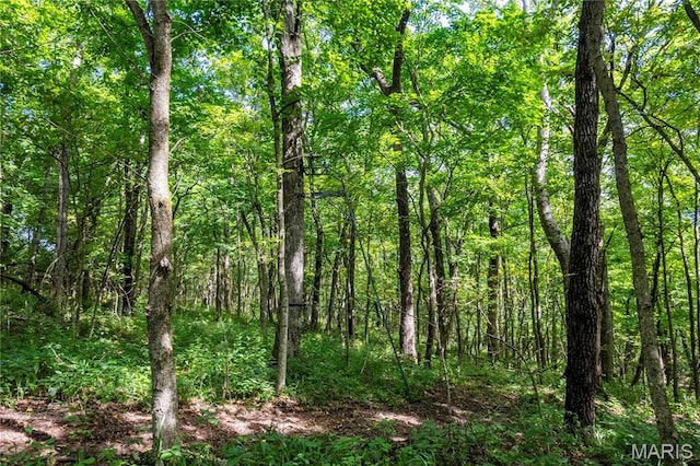 2 Whitetail Ridge Rd, Eolia, MO 63344 - photo 73