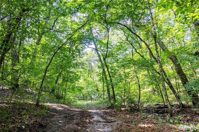 2 Whitetail Ridge Rd, Eolia, MO 63344 - photo 74