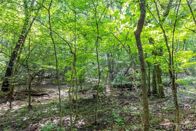 2 Whitetail Ridge Rd, Eolia, MO 63344 - photo 78