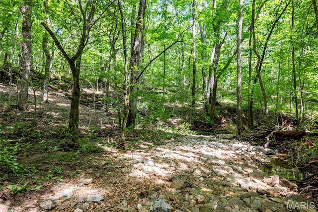 2 Whitetail Ridge Rd, Eolia, MO 63344 - photo 79