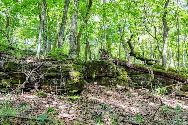 2 Whitetail Ridge Rd, Eolia, MO 63344 - photo 80