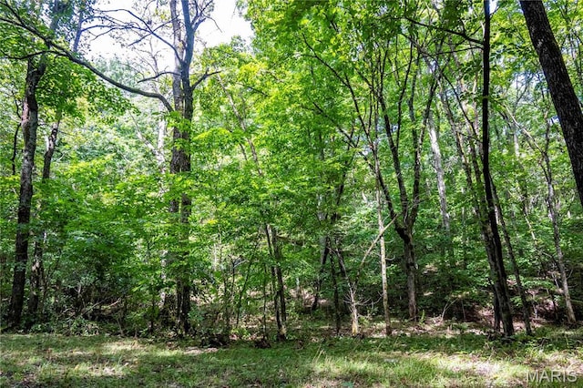2 Whitetail Ridge Rd, Eolia, MO 63344 - photo 81