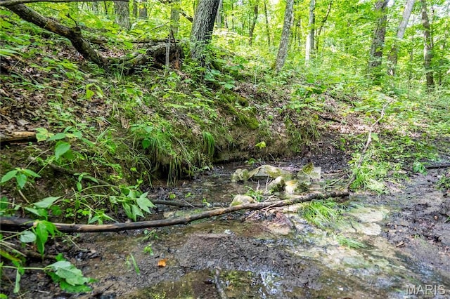 2 Whitetail Ridge Rd, Eolia, MO 63344 - photo 84