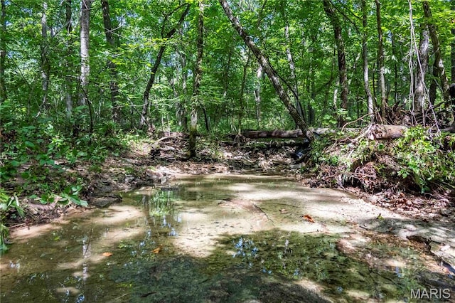 2 Whitetail Ridge Rd, Eolia, MO 63344 - photo 85