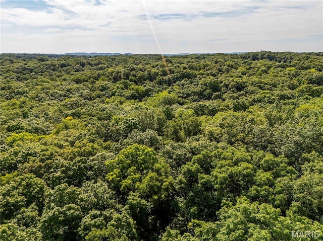 2 Whitetail Ridge Rd, Eolia, MO 63344 - photo 86