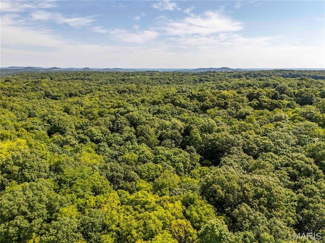 2 Whitetail Ridge Rd, Eolia, MO 63344 - photo 87