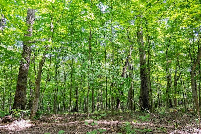 2 Whitetail Ridge Rd, Eolia, MO 63344 - photo 88